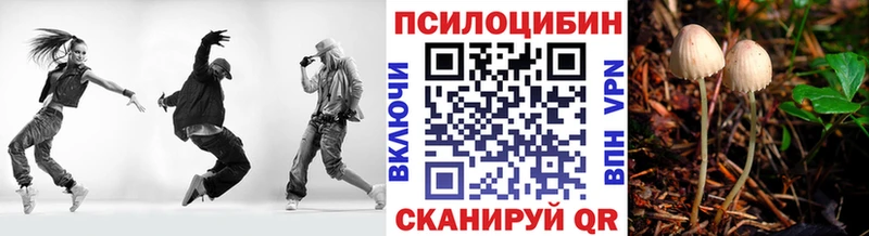 магазин продажи   Балтийск  Галлюциногенные грибы прущие грибы 