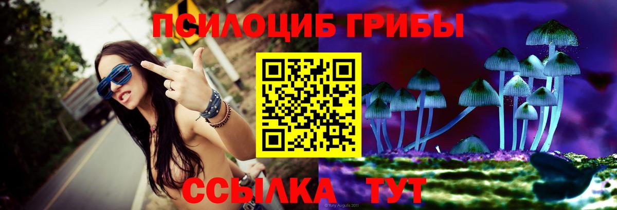 Балтийск  купить наркотики цена  Вход с VPN  Галлюциногенные грибы MAGIC MUSHROOMS 