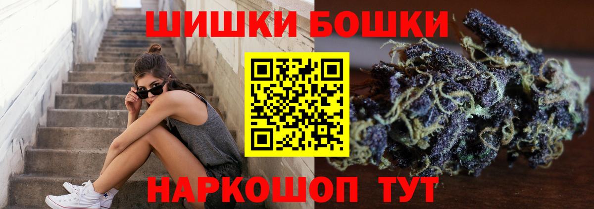 Бошки Шишки конопля Балтийск